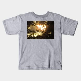 Sunlight Through Branches Kids T-Shirt